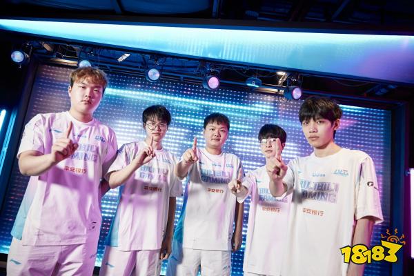 能弥补这一 能弥补这一